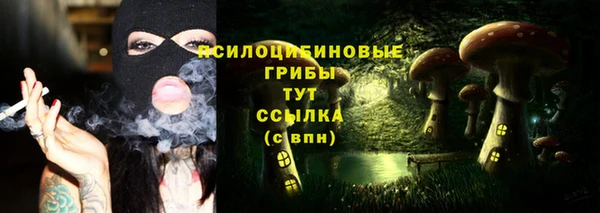 мдпв Баксан